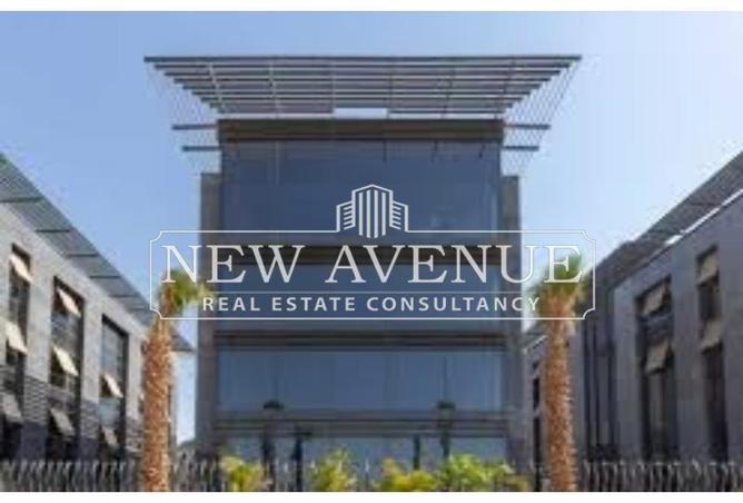 53220502 - Property Image 2