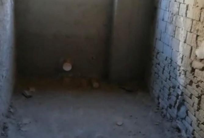 81580395 - صورة العقار 3
