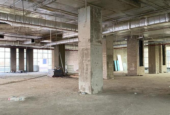 54240366 - Property Image 3