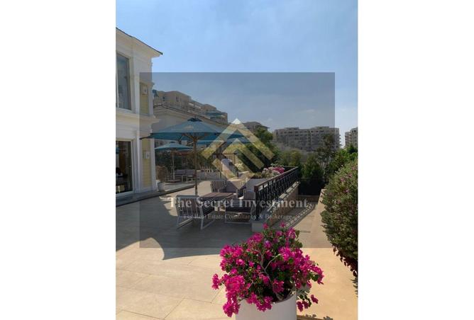 52971891 - Property Image 3