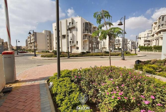 99118451 - صورة العقار 3