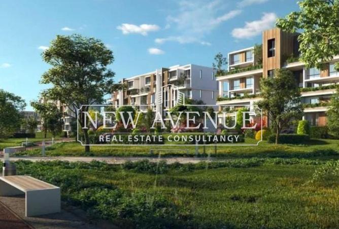 66683627 - Property Image 3