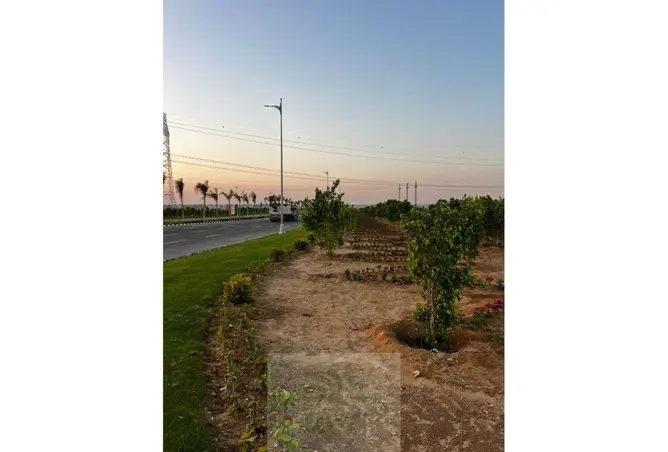 90729849 - Property Image 3