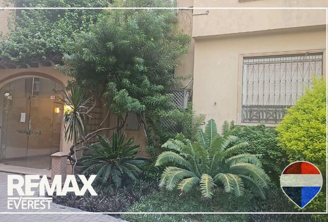 58250292 - صورة العقار 3