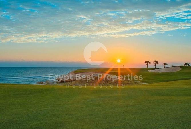 52717492 - Property Image 3