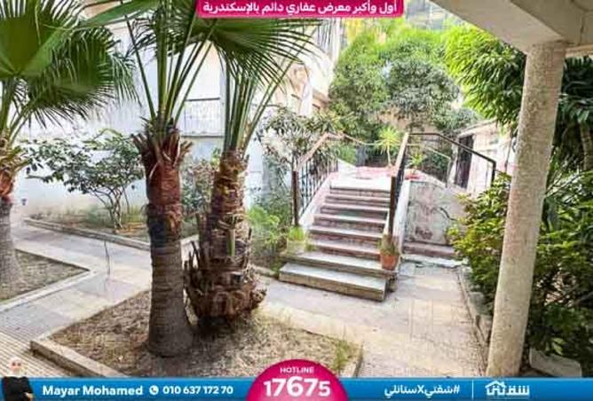 8477643 - Property Image 3