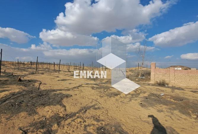 8557462 - صورة العقار 3