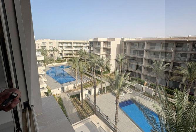 83668447 - صورة العقار 3