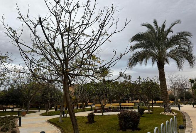 52715140 - Property Image 3