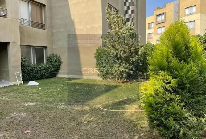 120362220 - Property Image 3