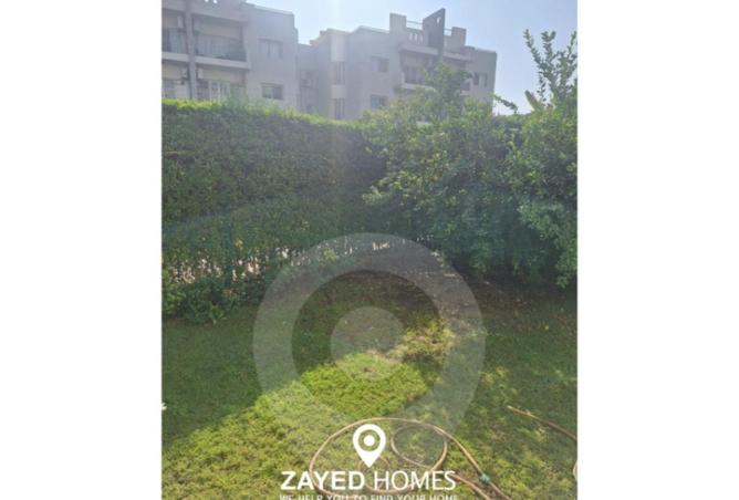 8595241 - Property Main Image