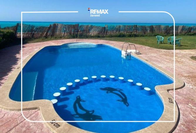 106854579 - Property Image 3