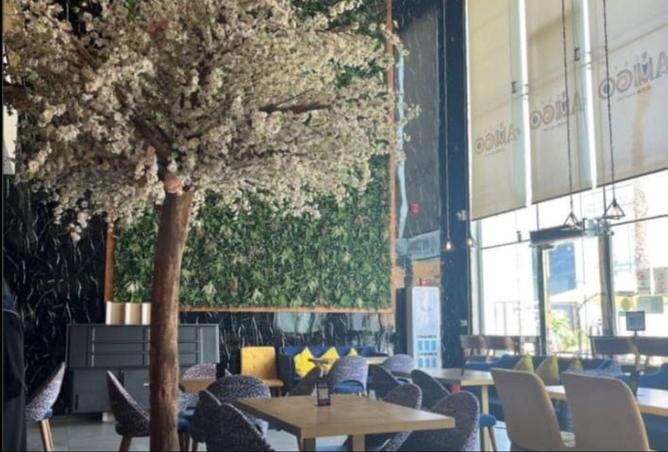 65147459 - Property Image 2