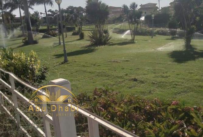 72706394 - Property Image 3