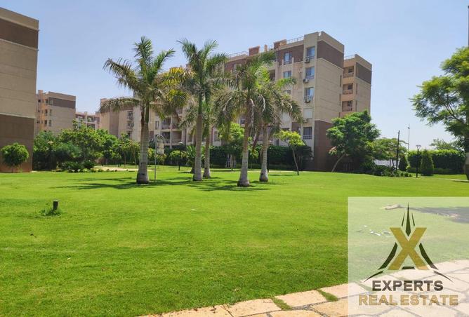 8628986 - صورة العقار 3