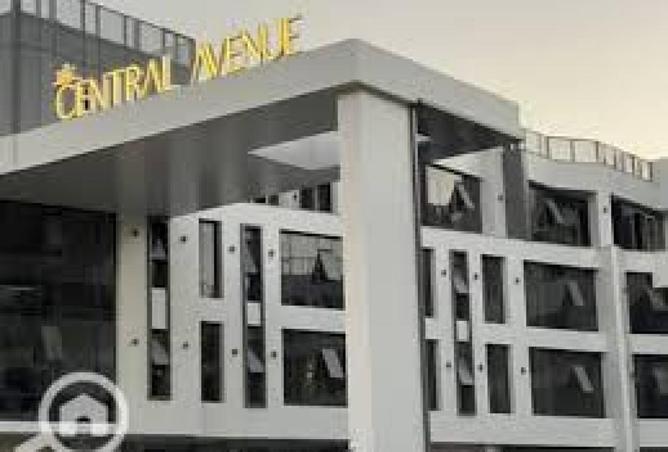 64381635 - صورة العقار 3