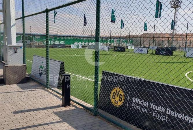 70365200 - Property Image 2