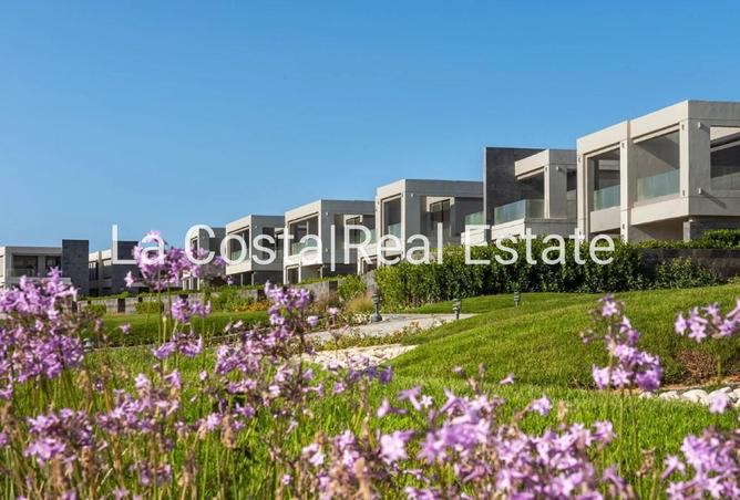 85604167 - Property Image 3