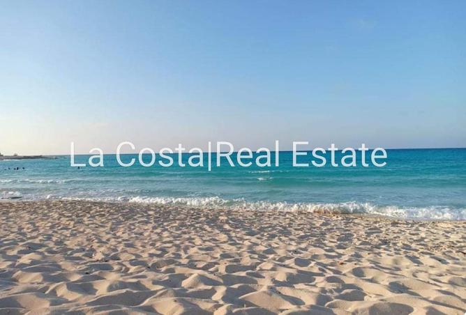 85604167 - Property Main Image