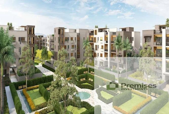 63138395 - Property Image 3