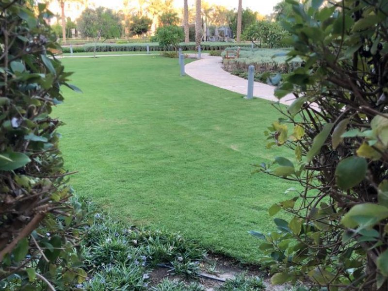 3BR Apartment For Rent | With Garden | Marassi thumbnail