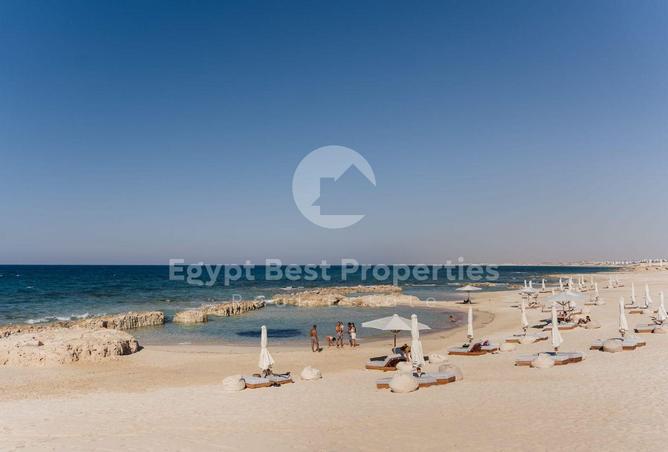 96588539 - Property Image 2