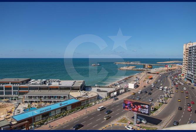 80789393 - Property Main Image