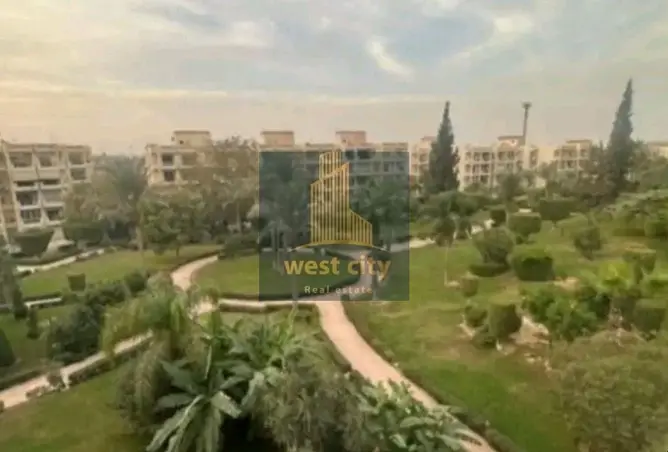 113824545 - صورة العقار 2
