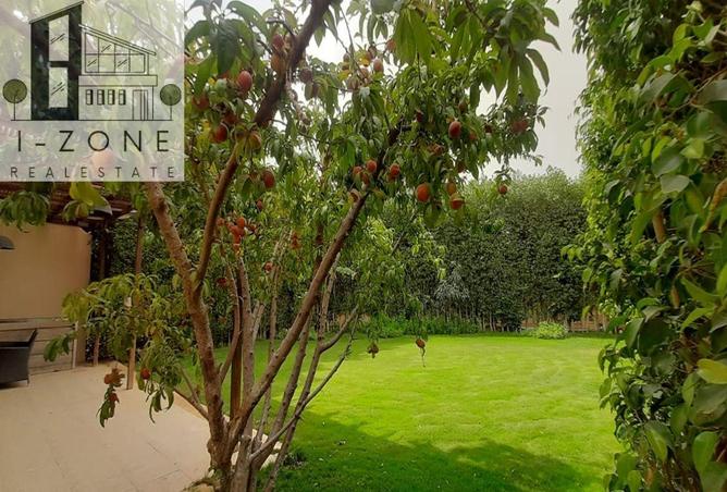 67735073 - Property Image 3