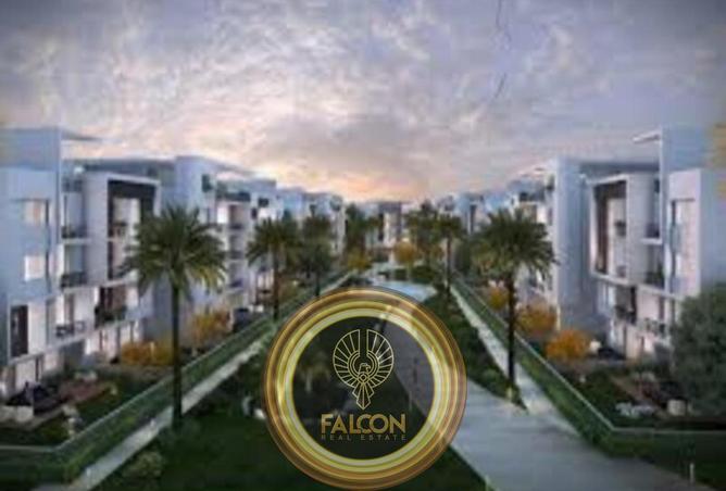 69047506 - صورة العقار 3