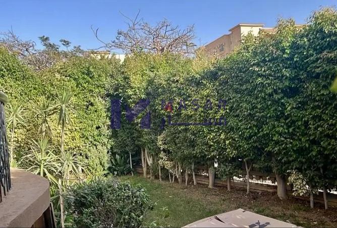 55252287 - صورة العقار 3