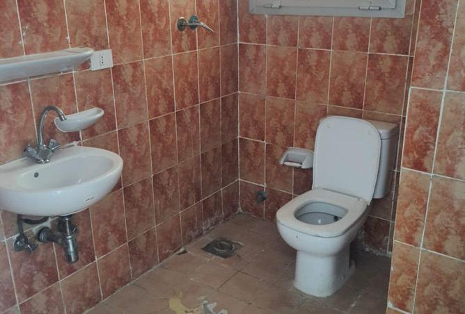 57244698 - صورة العقار 3