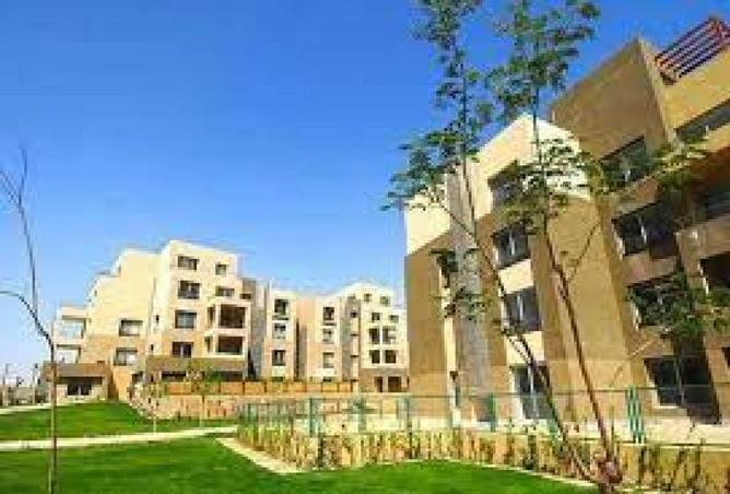 55992828 - صورة العقار 2