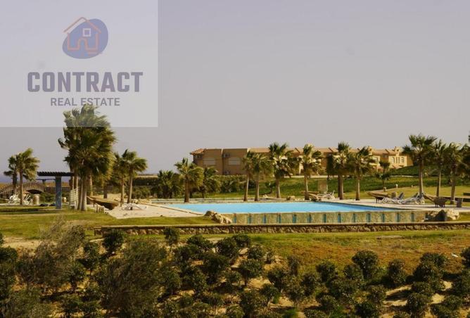 53990972 - صورة العقار 2