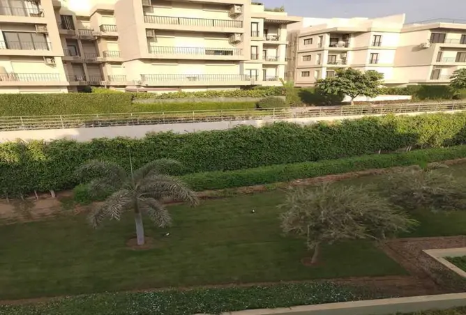 114901530 - Property Image 2