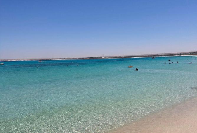 83679889 - صورة العقار 3