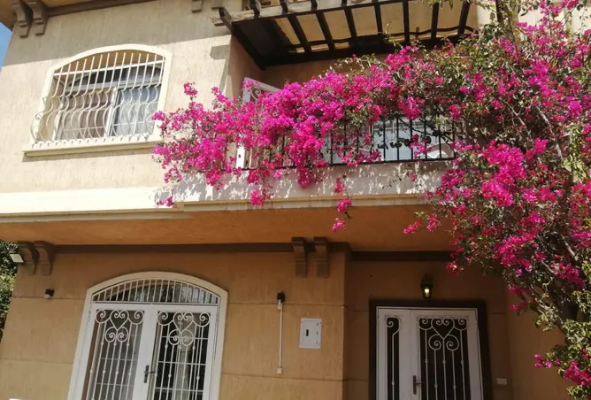 97437192 - صورة العقار 2