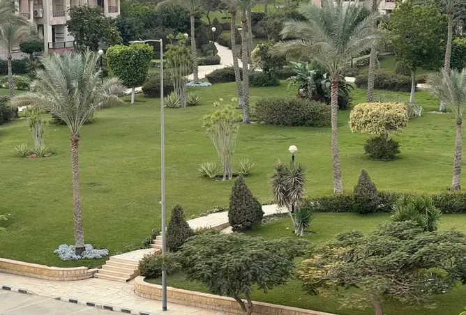 119335259 - صورة العقار 2