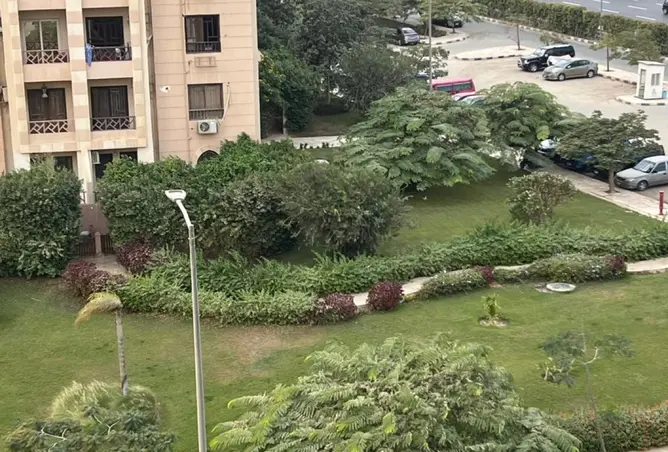 119335259 - صورة العقار 3