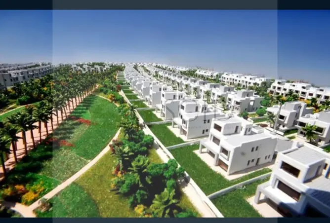 114627100 - Property Image 3