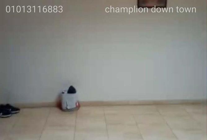 81822895 - Property Image 2