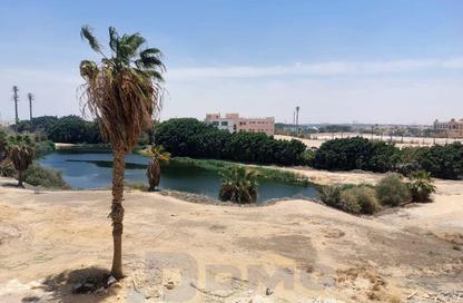 شقة - 3 غرف نوم - 3 حمامات للبيع في شارع دريم لاند - دريم لاند - طريق الواحات - مدينة 6 أكتوبر - الجيزة