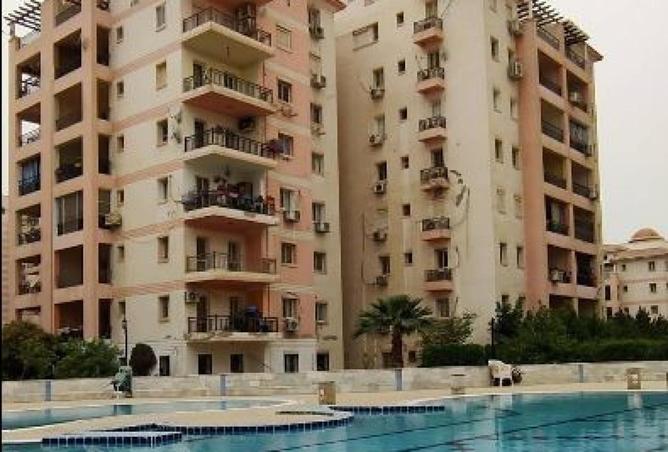 8643029 - Property Image 3