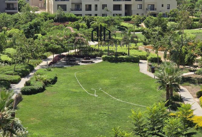 106304217 - صورة العقار 2