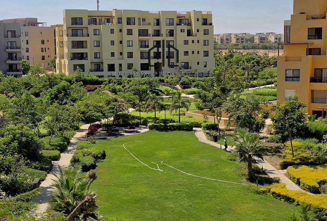 106304217 - الصورة الرئيسية للعقار