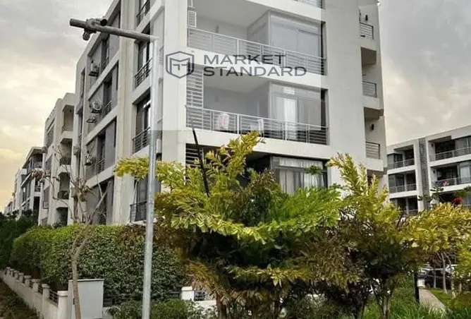 117019254 - Property Image 2
