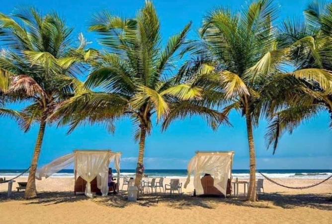 63134484 - Property Image 2