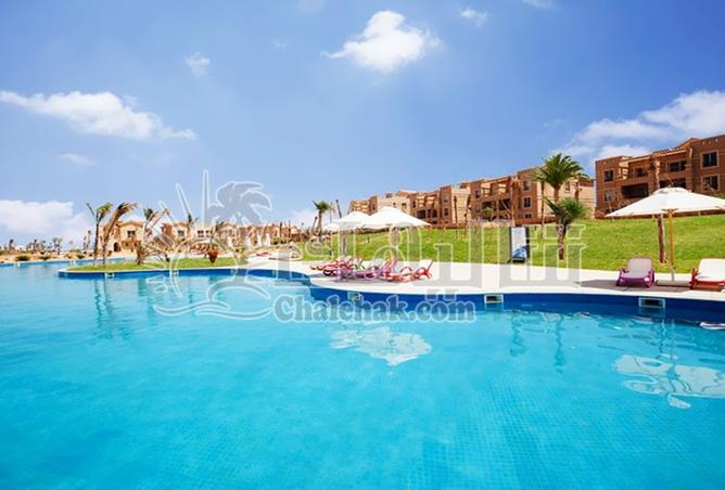 101493265 - Property Image 2