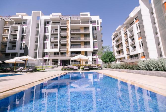 57743754 - Property Image 3