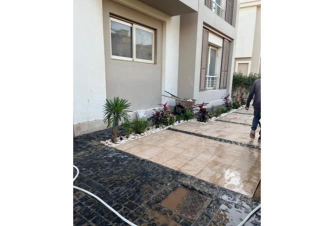 60954850 - Property Image 2